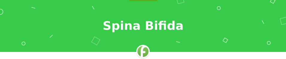 Spina Bifida Research Paper Sample
