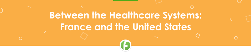 Between the Healthcare Systems Free Comparative Essay Sample